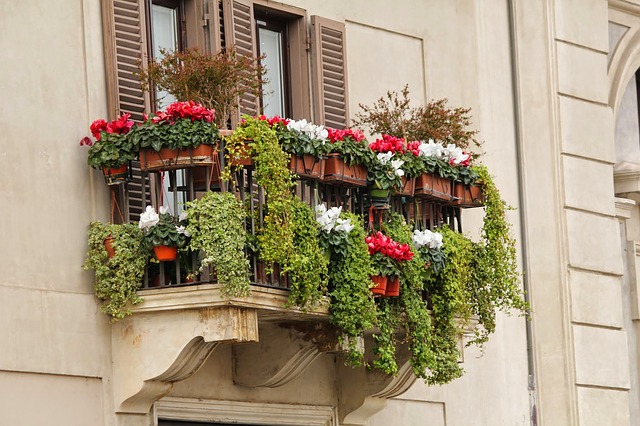 decorar terraza o balcón, las plantas